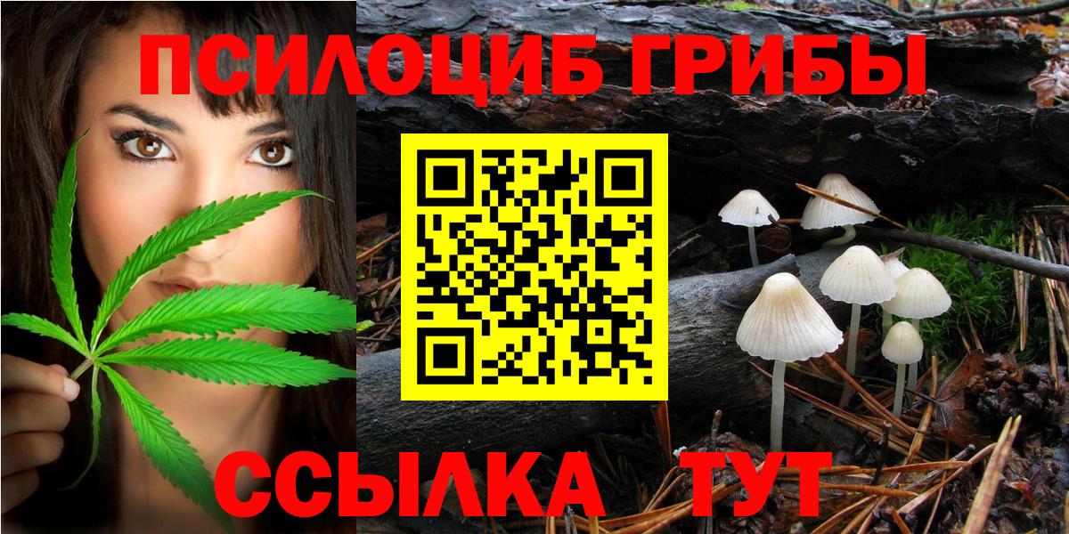 Галлюциногенные грибы Magic Shrooms  Псилоцибиновые грибы Psilocybine cubensis  Вход с VPN  Чапаевск 